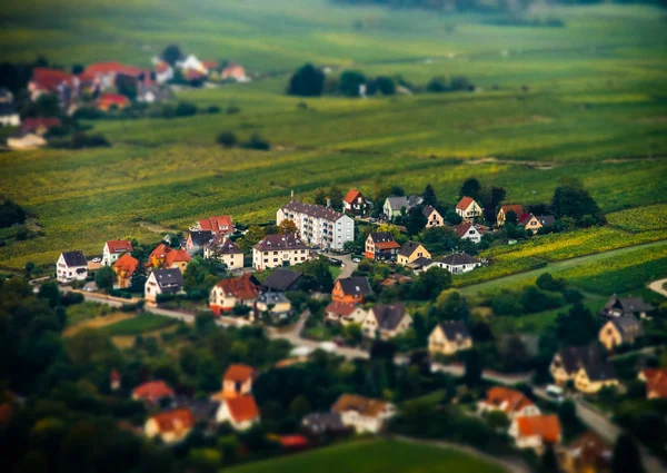 Aerial panoramic tilt-shift view to village Ribeauville from dro — Stock Photo, Image