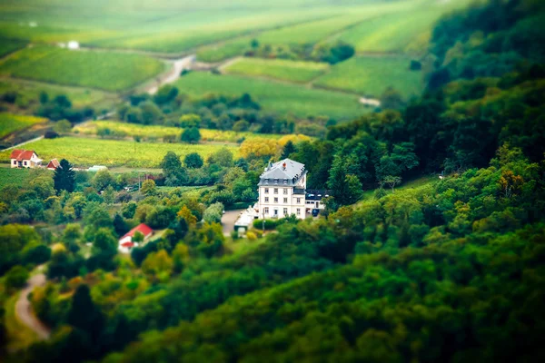 Aerial panoramic tilt-shift view to village Ribeauville from dro — Stock Photo, Image