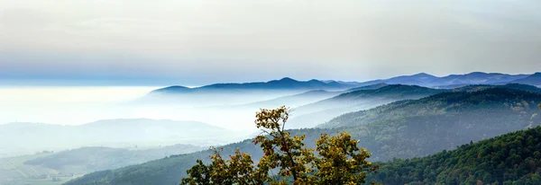 Hermoso paisaje de montañas desde la cima de la colina con niebla — Foto de Stock