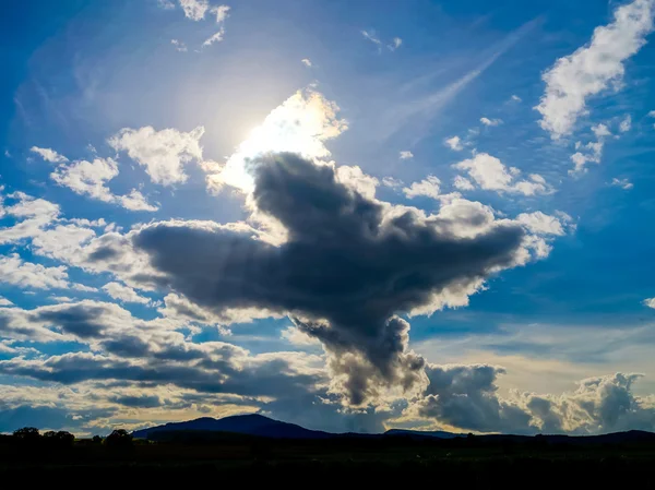 Big bird figure of clouds in the sky — Stock Photo, Image