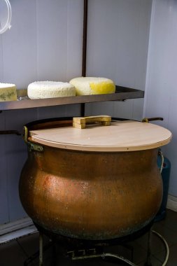 Çiftlikte doğal ev yapımı peynir hazırlık