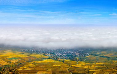 Güzel beyaz sisli katmanı üzerinden üzüm bağları Alsace, Fransa