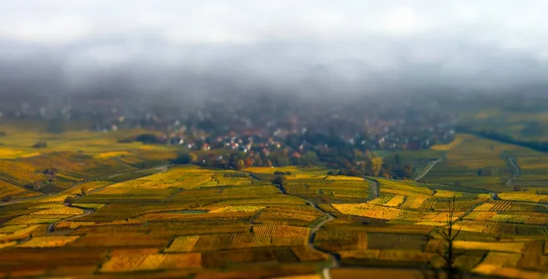 Hermosa capa de niebla blanca sobre viñedos de Alsacia, Francia —  Fotos de Stock