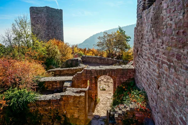 Old medieval castle ruins in Alsace, France — Stock Photo, Image