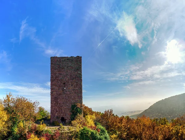 Old medieval castle ruins in Alsace, France — Stock Photo, Image