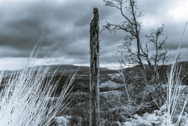 Bea Beautiful doğal peyzaj kızılötesi görünümü