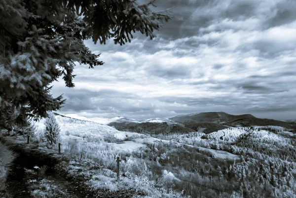 Bea schöne Naturlandschaft im Infrarotblick — Stockfoto