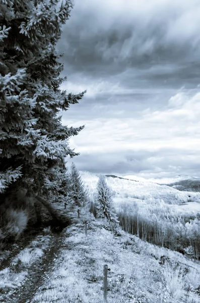 적외선 보기에 비 아름 다운 자연 경관 — 스톡 사진