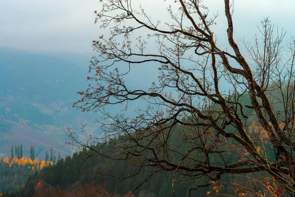 Schöne Herbstfarben in den Bergen, Landschaft natürliche Aussicht — Stockfoto
