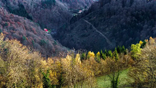 Красивые осенние цвета в горах, пейзаж — стоковое фото