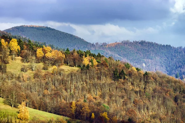 Dağlarda, doğal manzaralı güzel sonbahar renkleri — Stok fotoğraf