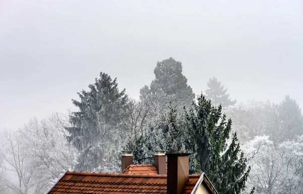 Fransız House çatı ve küçük donmuş ağaçlarda Köyü — Stok fotoğraf