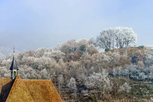 Kerk en bevroren bomen in kleine Frans dorp — Stockfoto