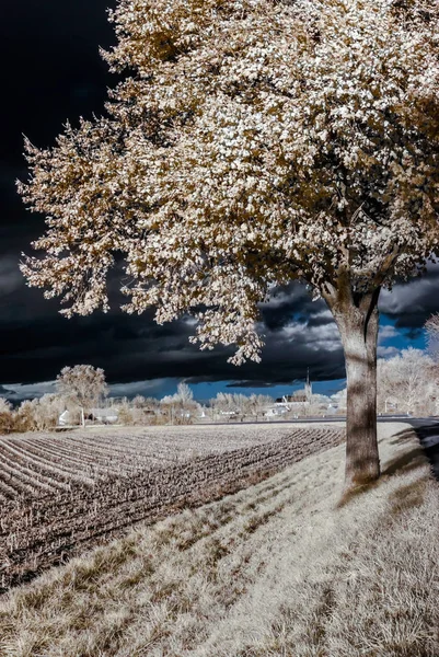Cntrast infrared landscape, countryside view — Stock Photo, Image