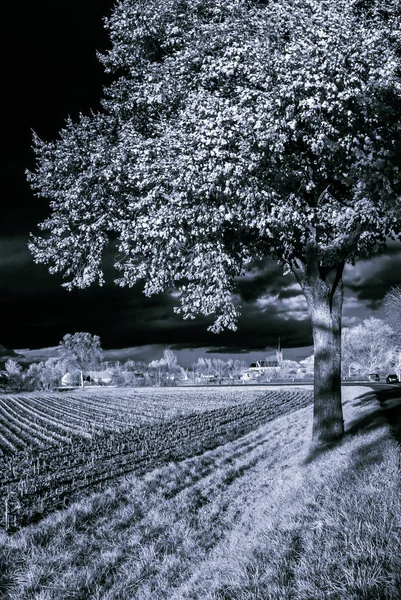 Paisaje infrarrojo cntrast, vista al campo —  Fotos de Stock