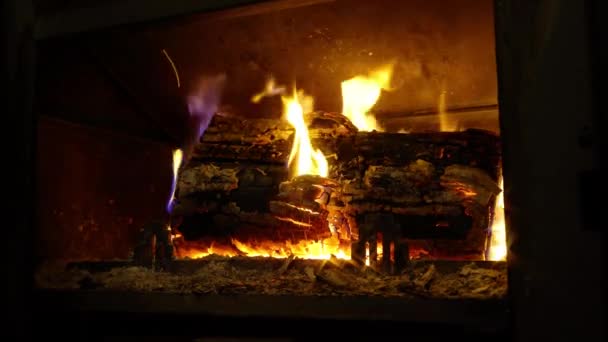 Flaming wood in fireplace closeup view, house and comfort. — Stock Video