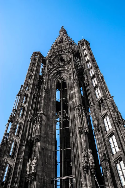 Tower of Strasbourg Cathedral isolated