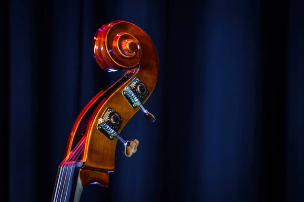 Classical double-bass instrument close-up view — Stock Photo, Image