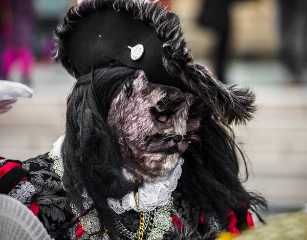 Editoriale, 4 marzo 2017: Rosheim, Francia: Maschera di Carnevale Veneziano — Foto Stock