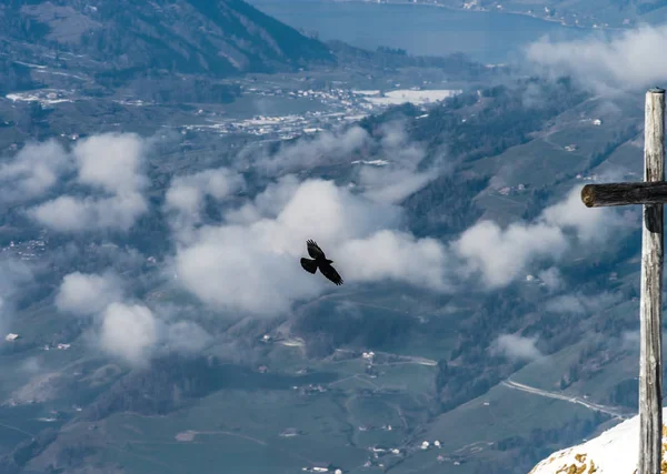 Vista aérea do pássaro voando sobre a terra — Fotografia de Stock