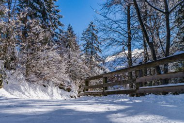 Sakin yerde, beyaz kar ve kış Kayak Merkezi ağaçta