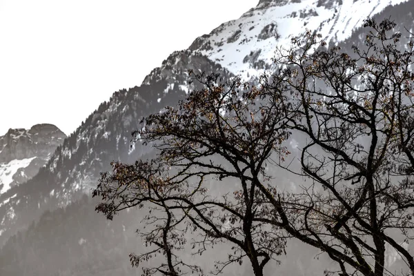 Hermosas montañas nevadas, día soleado en los Alpes —  Fotos de Stock