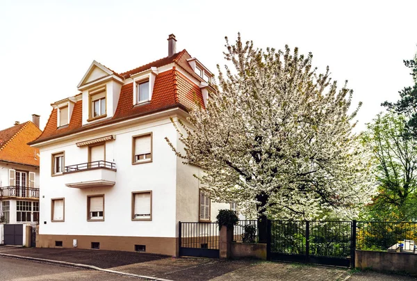 Maison française classique dans quartier résidentiel de Strasbourg, fleuri — Photo