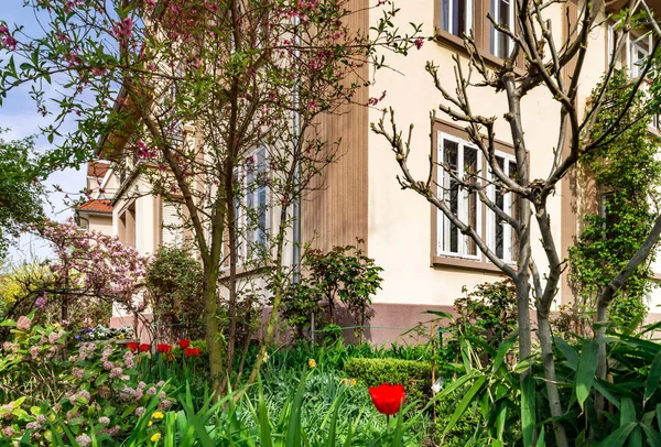 经典法国斯特拉斯堡居住区，blos 的房子 — 图库照片