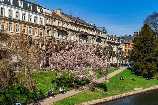 Primavera fiorita a Strasburgo, vista strada — Foto Stock