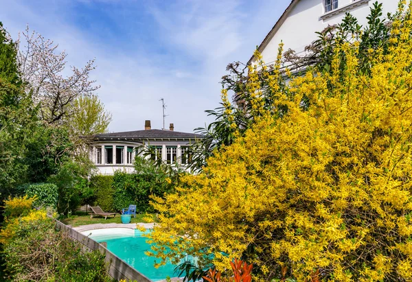 Privat pool på springtime, blommande träd — Stockfoto