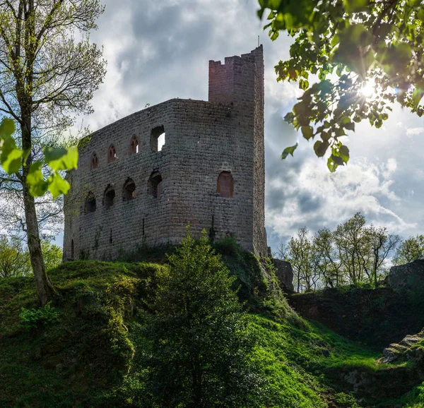 Old medieval fortress ruins of Chateau Spesbourg in deep forest, — Stock Photo, Image