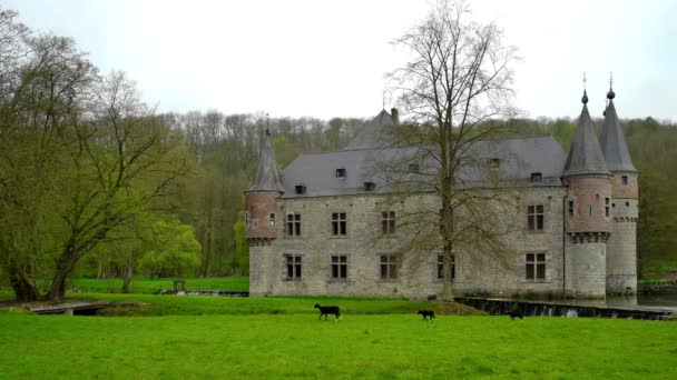 Velho castelo medieval Spontin na Bélgica. 4k de alta resolução . — Vídeo de Stock