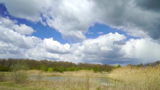 Mooi landelijk landschap, bewolkt weer. hoge resolutie van 4 k. — Stockvideo