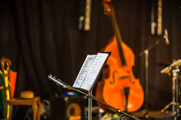 Concert hall with usic notes and double-bass on background — Stock Photo, Image