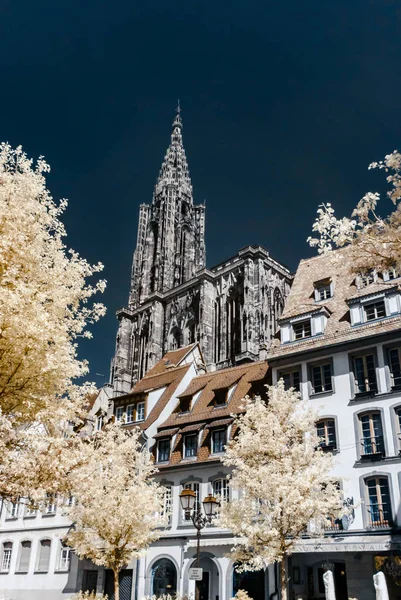 Vista de la catedral de Estrasburgo en infrarrojos — Foto de Stock