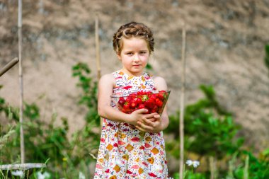 Güneşli g taze kırmızı çilek ile poz sevimli küçük kız