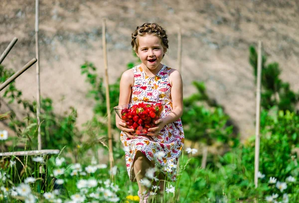 Cute little girl posing with fresh red strawberry in the sunny g — Stock Photo, Image