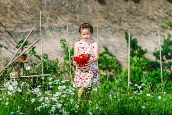 Söt liten flicka poserar med färsk röd jordgubbe i soliga g — Stockfoto