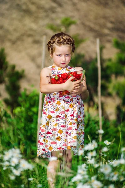 Güneşli g taze kırmızı çilek ile poz sevimli küçük kız — Stok fotoğraf