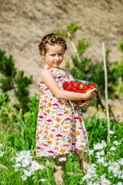 Roztomilá holčička pózuje s čerstvé červené jahody v sunny g — Stock fotografie