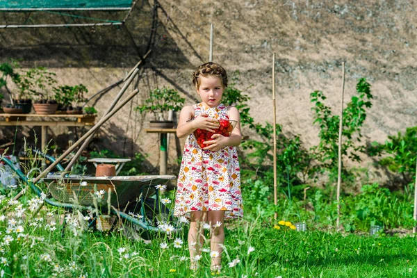 Cute little girl posing with fresh red strawberry in the sunny g — Stock Photo, Image