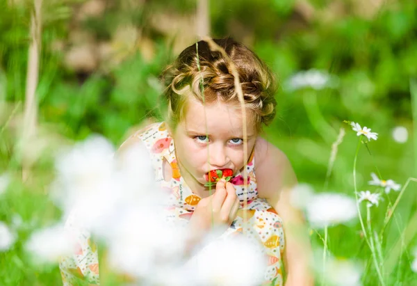 Güneşli g taze kırmızı çilek ile poz sevimli küçük kız — Stok fotoğraf