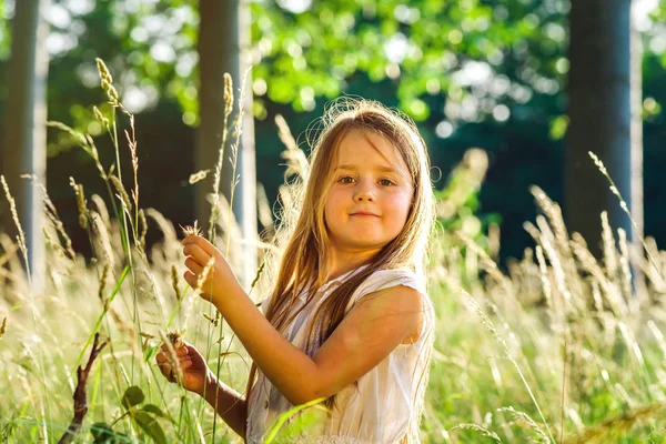 Roztomilá malá preschooler dívka portrét v západu slunce lese — Stock fotografie