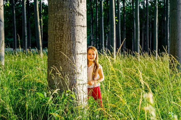 Mignon petit portrait de fille préscolaire dans la forêt du coucher du soleil — Photo