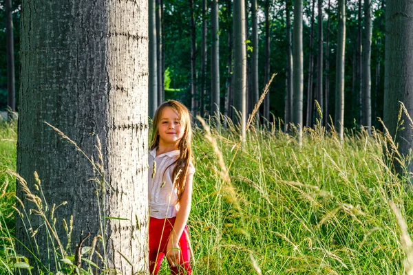 Schattige kleine peuter meisje portret in zonsondergang bos — Stockfoto