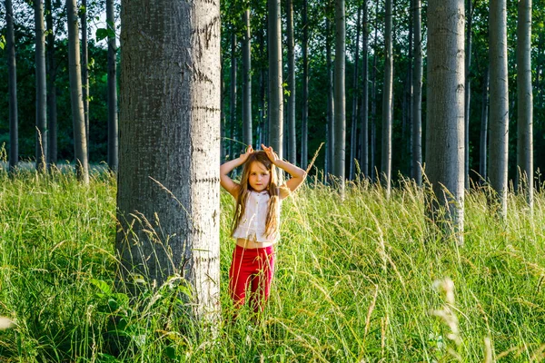 Lindo pequeño retrato de niña preescolar en el bosque del atardecer —  Fotos de Stock