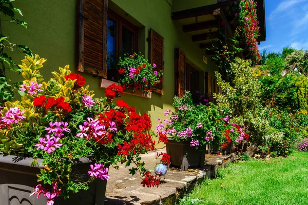 Beautiful colorful garden near the village house — Stock Photo, Image