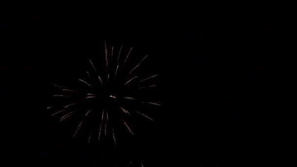 Lange Belichtung von buntem Feuerwerk vor schwarzem Himmel - Bastille-Tag — Stockvideo