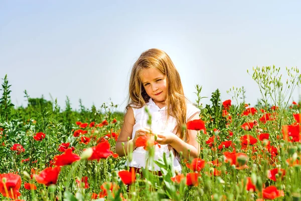 Cute little girl playing in red poppies field summer day, beauty — Stock Photo, Image