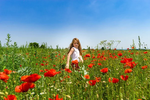 Söt liten flicka som leker i röd vallmo fält sommar dag, skönhet — Stockfoto